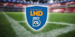 “Perché farli?” Il caso playoff di Serie D che divide il calcio dilettantistico